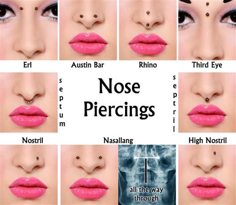 makeup and nose piercing|different types of nose piercings.